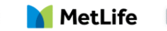 MetLife White MetLife White